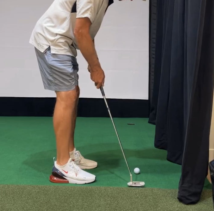 Big Moss V2 Simulator Solutions Putting Green